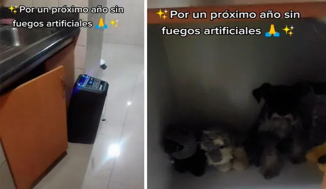Una familia acomodó unos peluches y un parlante en un pequeño escondite para que su querida mascota se sienta segura. Foto: captura de Facebook