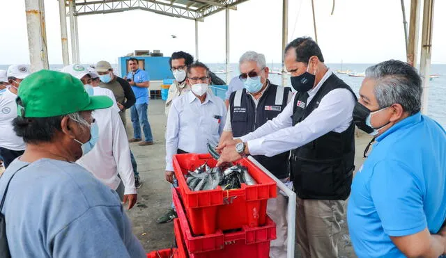 La especie el bonito se redujo en 14,3% y del jurel en 20%. Foto: Produce