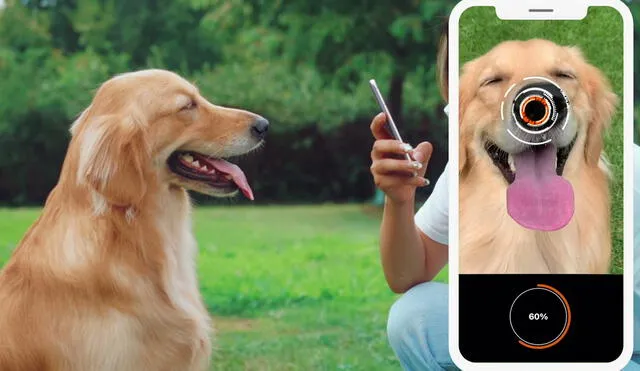 La app escanea la nariz del perro que funciona como su huella digital. Foto: Petnow