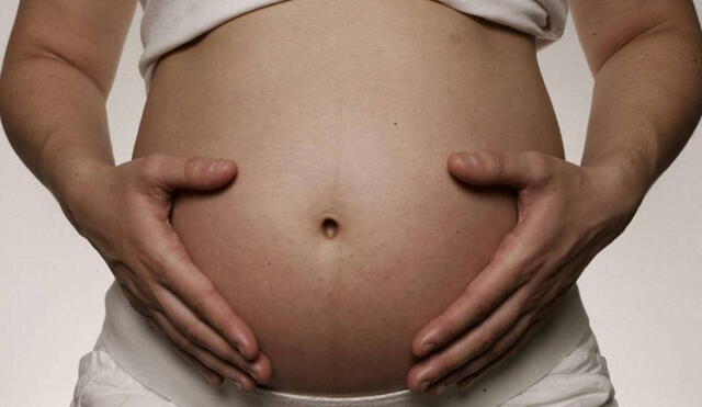 Conoce el desplazamiento del espermatozoide luego de ingresar al aparato reproductor de la mujer para lograr un embarazo. Foto: EFE