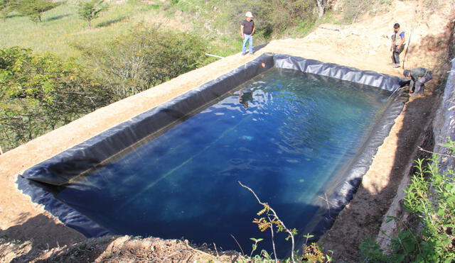 Reservorios almacenan el agua de lluvia en el ande liberteño. Foto: GRALL