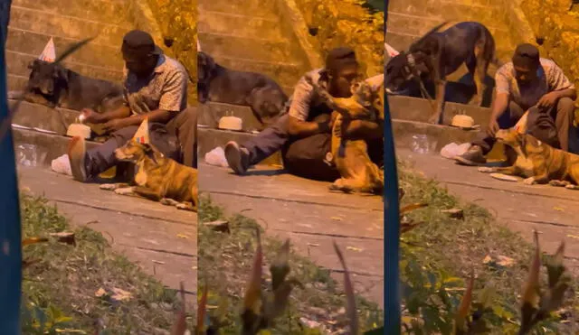 El hombre ofreció a los perritos darles de comer en la boca para que disfrutaran del postre. Foto: captura de Facebook