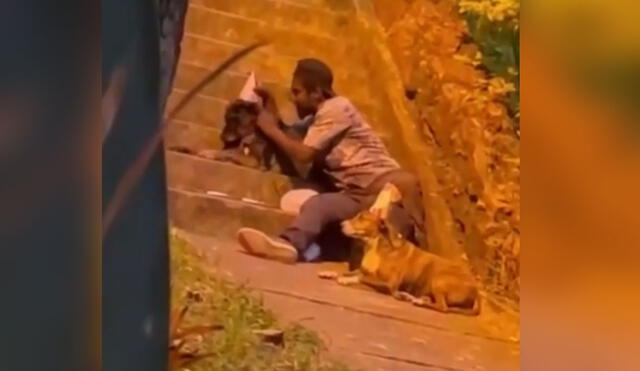 El video de este joven celebrando a sus perritos en la calle conmovió a miles en las redes sociales. Foto: captura de TikTok