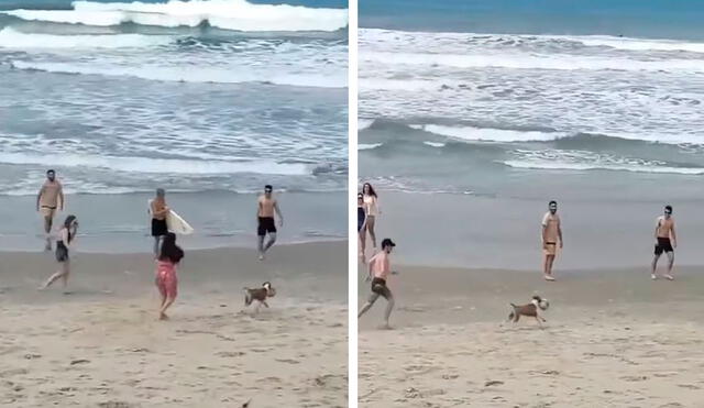 Un travieso animal aprovechó la distracción de un grupo de personas para apoderarse de un balón; sin embargo, fue descubierto y trató de escapar. Foto: captura de YouTube