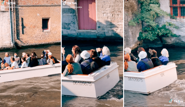 Usuarios en redes sociales lo bautizaron como el Firulais turista por conocer los canales belgas. Foto: captura de TikTok