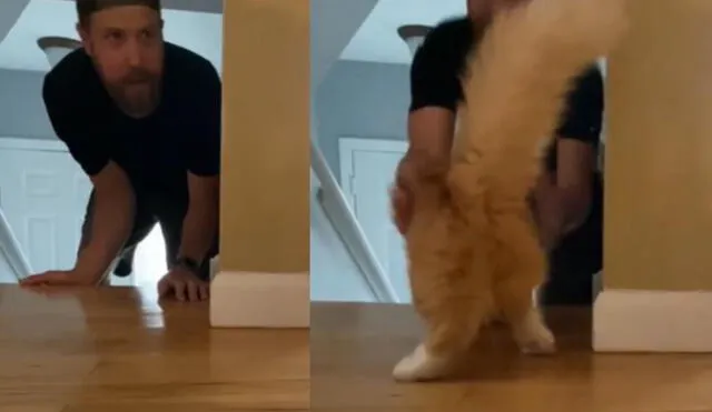 Travieso gatito se divierte jugando a las escondidas con su dueño. Foto: captura de YouTube.