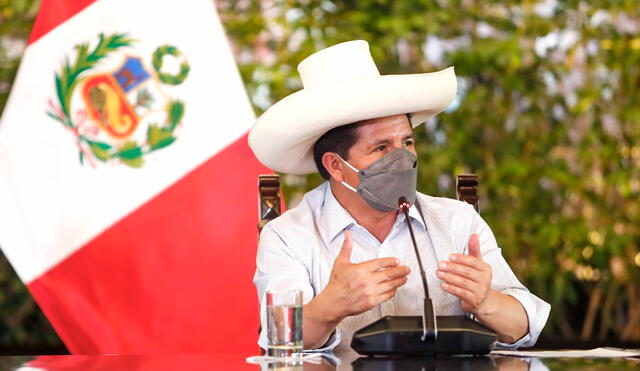 Pedro Castillo asumió la Presidencia el 28 de julio del 2021, año del bicentenario peruano. Foto: Presidencia