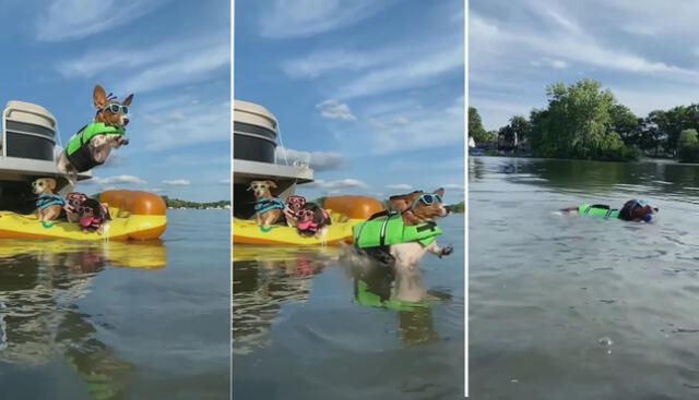 Video consiguió más 161.878 ‘me gusta’ en la red social. Foto: captura de Instagram