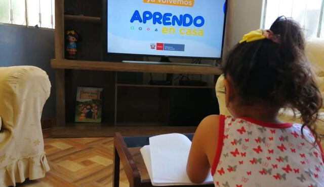 El Minedu ha dispuesto un programa de verano para continuar la enseñanza remota de cursos básicos. Foto: Andina