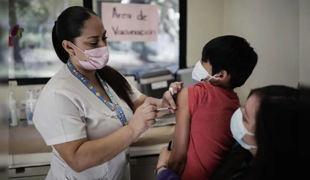 De acuerdo al Minsa, la vacunación será de manera voluntaria. Foto: EFE/referencial