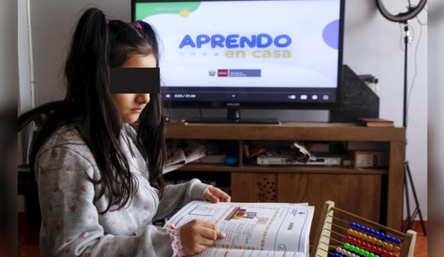 El Minedu ha dispuesto un programa de verano para continuar con la enseñanza remota de cursos básicos. Foto: Carlos Contreras/La República