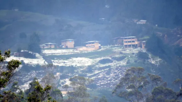 Granizada afectó cultivos y pastizales en las comunidades de Negropampa, Quinuamayo y Silleropáta Bajo en Chota. Foto: Soy Feria.