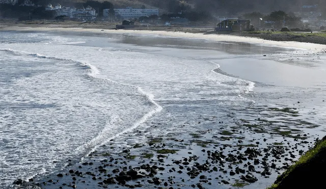 “No se acerquen a la costa para observar el tsunami”, subrayó en su página web el Servicio de Avisos de Tsunami. Foto: EFE