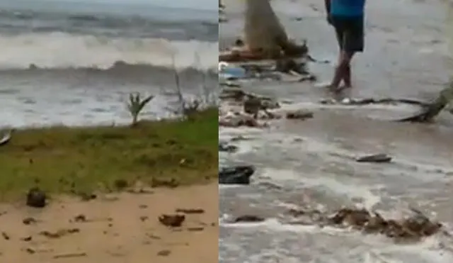 Las grandes olas golpearon casas y edificios en primera línea de la costa de Tonga. Foto: capura video/AFP