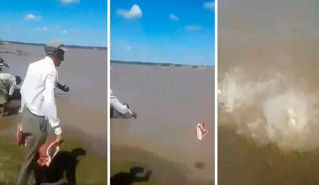 Un hombre demostró el poder de unos peligrosos animales que habitan el río Paraná, en Argentina. Foto: captura de YouTube