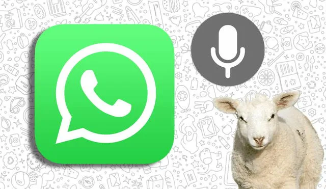 Sorprende a tus amigos con este truco con el que podrás enviar audios con la voz de una oveja. Foto: Composición LR