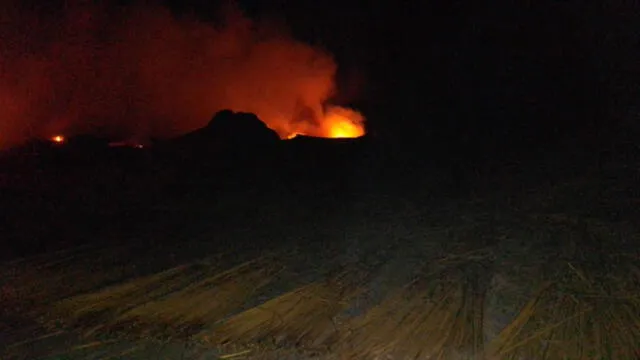 Una parte de los totorales fue consumida por el fuego. Foto: MDH