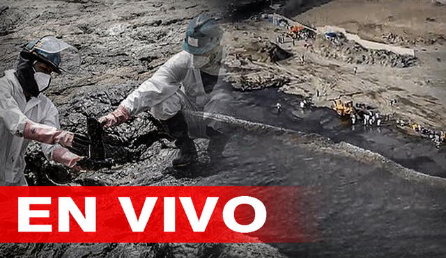 Derrame de petróleo ocasionado por Repsol afectó a la biodiversidad marina y terrestre en playas de Ventanilla, Santa Rosa y Ancón. Foto: composición/La República