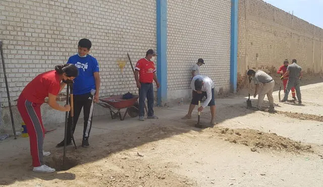 En conjunto con la Compañía de Bomberos 195 del distrito leonardino, buscan realizar 100 plantaciones. Foto: URPI-GLR