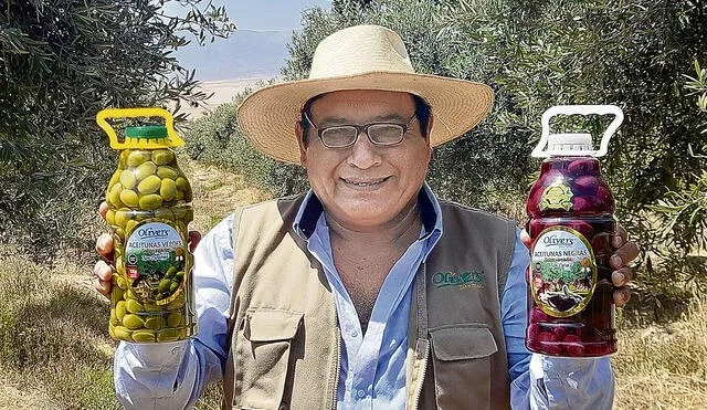 Negocio familiar. Percy Puertolas y sus hermanos cosechan sus aceitunas en Arequipa. Foto: difusión