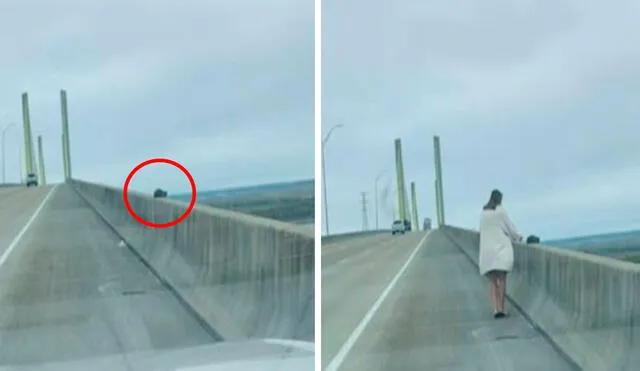 Una mujer detuvo su vehículo en medio de la carretera al percatarse que un indefenso animal estaba en peligro. Foto: captura de YouTube