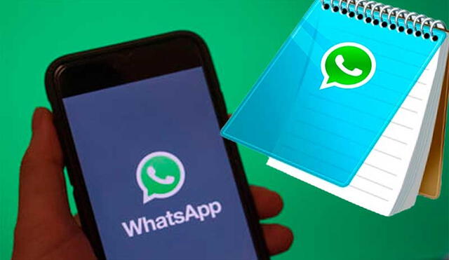 Asegúrate de tener la última versión de WhatsApp en tu teléfono Android o iOS. Foto: DanricTec