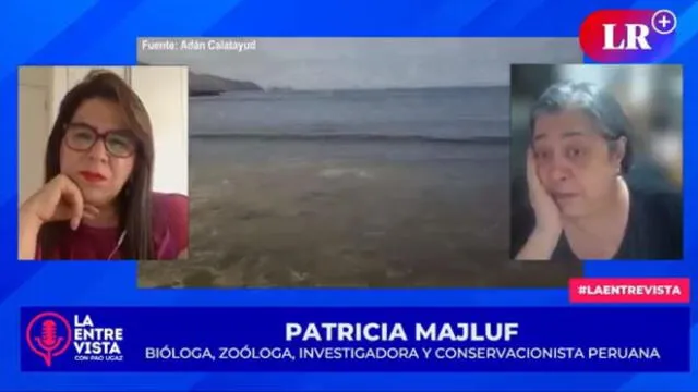 Patricia Majluf, bióloga, zoóloga, investigadora y conservacionista peruana.