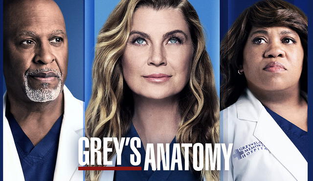Grey’s anatomy, temporada 18 llega finalmente a Sony de Latinoamérica. Foto: ABC