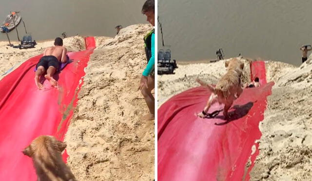 Un inquieto perro se robó la atención de todos en la playa luego de que subió en varias oportunidades a un 'tobogán'. Foto: captura de Facebook