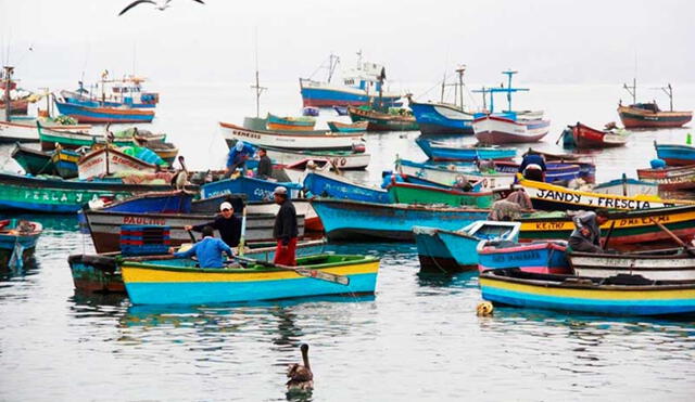 Produce identificó a más de 2.500 pescadores artesanales afectados por derrame de petróleo. Foto: Andina