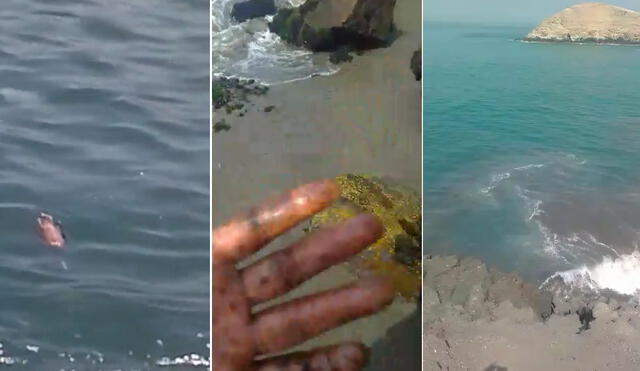 Trabajos de limpieza no llegan a todas las playas contaminadas, denuncia pescador. Foto: composición/La República