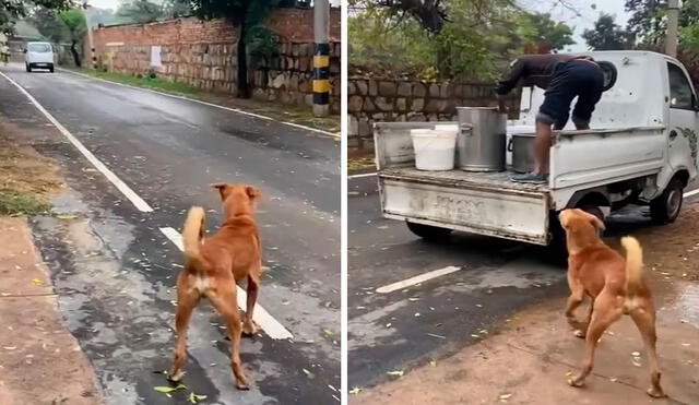 Un joven vio que un perro estaba sentado en los exteriores de un local y se puso a su lado para acompañarlo, sin imaginar que se llevaría una tierna sorpresa. Foto: captura de Facebook