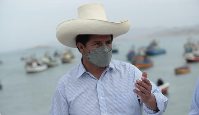 El presidente Pedro Castillo durante la inspección que hizo al puerto de Huarmey este jueves 29, en donde dialogó con pescadores artesanales. Foto: Presidencia