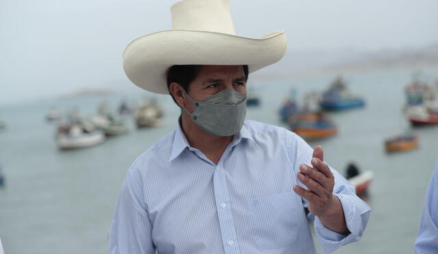 El presidente Pedro Castillo realizó inspecciones por diferentes puertos de la región de Ancash. Foto: Presidencia.
