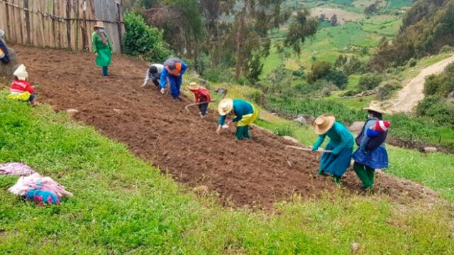 Promueven agricultura familiar en Cajamarca a través de biohuertos. Foto: GORE Cajamarca