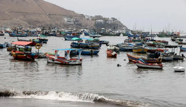 Pescadores piden que el Estado ponga a su disposición de los pescadores las entidades técnicas como la OEFA, ANA e Imarpe. Foto: Andina.