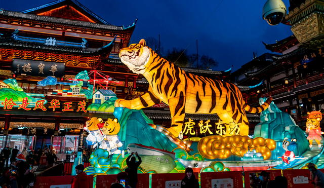 El Año del Tigre promete traer nuevas vibras para todos los signos del horóscopo chino. Foto: AFP