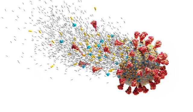 Los investigadores observaron la disgregación de la membrana del virus causada por el CPC de enjuagues bucales. Imagen referencial: ABC