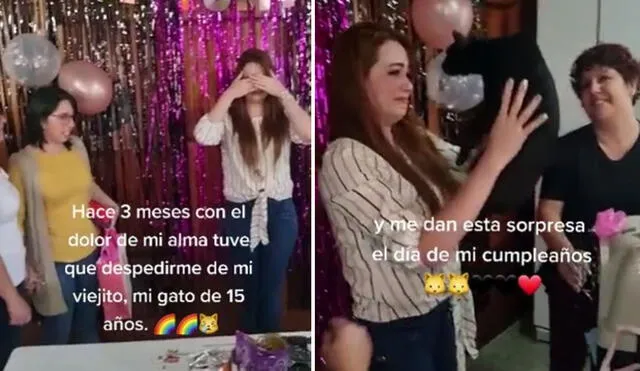 Miles de usuarios quedaron fascinados al conocer esta emotiva historia. Foto: captura de TikTok