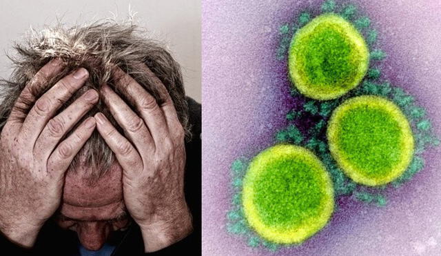 Desde los inicios de la pandemia, los científicos han propuesto que el coronavirus afecta al correcto funcionamiento cerebral. Foto: composición / Milenio / NIAID