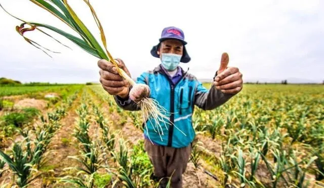 Actividad se realizará el próximo 11 de enero. Foto: GRA