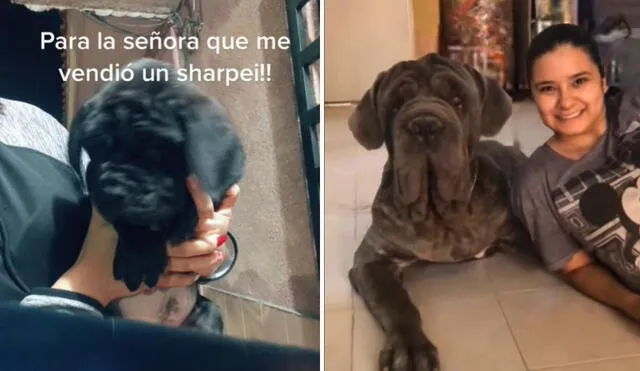 La joven de usuario @pekemoxxa no duda en mostrar a través de las redes las aventuras que vive al lado de su mascota, un mastín napolitano. Foto: captura de TikTok