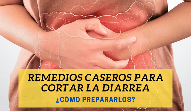 Si te preguntas cómo aliviar la diarrea con remedios naturales, en esta nota te brindamos preparados caseros para tratar las deposiciones líquidas. Foto: composición/Departamento de Salud Vasco