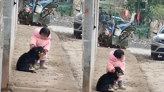 La niña no quería ver aturdida a su mascota. Foto: captura de YouTube