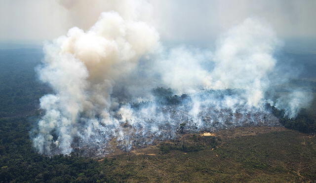 Más de 86.000 hectáreas de bosques se han visto afectadas en Colombia por incendios causados por manos criminales y la temporada seca. Foto:  Ministerio de Defensa de Colombia/EFE