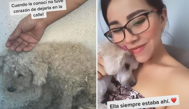 Esta tierna historia ya es viral en las redes sociales. Foto: captura de TikTok