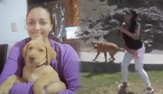 Mariella Zanetti mostró su casa de playa y a su perro Lucas . Foto: composición/captura América TV