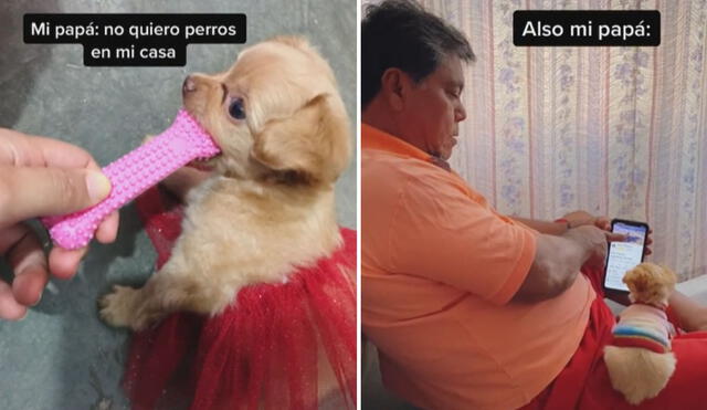 La pequeña mascota terminó por robarse el corazón de su 'abuelo' y hoy son inseparables. Foto: captura de TikTok