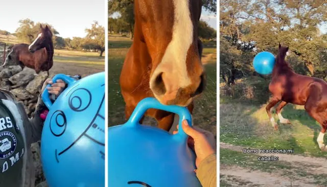 La escena consiguió más de 10,7 millones de reproducciones. Foto: captura de TikTok