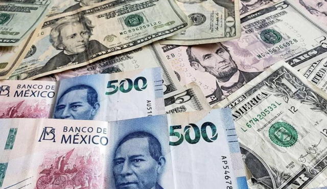 Todo sobre el dólar en México hoy, 12 de febrero del 2022. Foto: El economista.